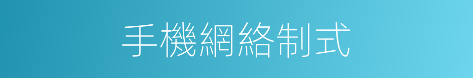 手機網絡制式的同義詞