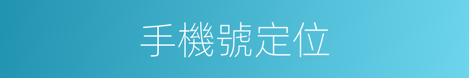 手機號定位的同義詞