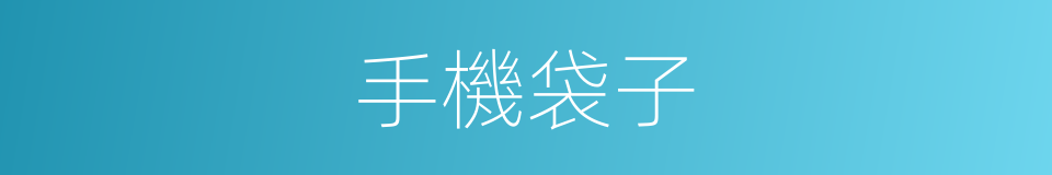 手機袋子的同義詞