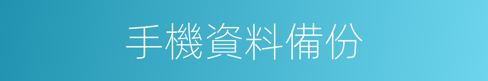 手機資料備份的同義詞
