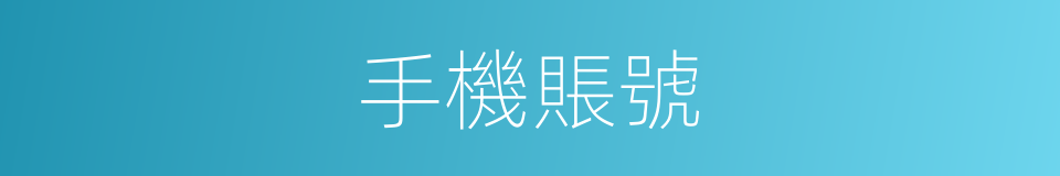 手機賬號的同義詞