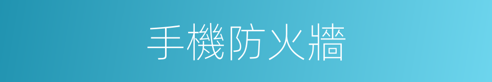 手機防火牆的同義詞