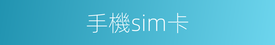 手機sim卡的同義詞