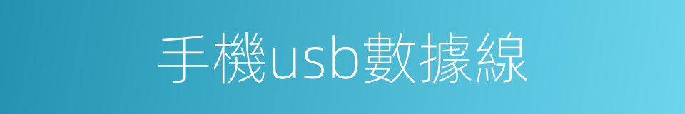 手機usb數據線的同義詞