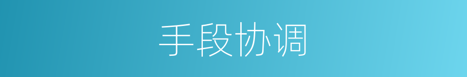 手段协调的同义词