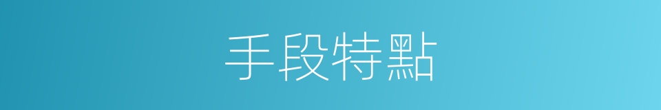 手段特點的同義詞