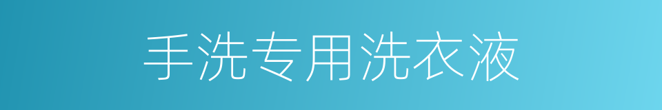 手洗专用洗衣液的同义词