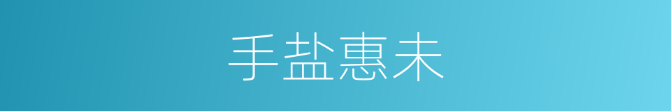手盐惠未的同义词