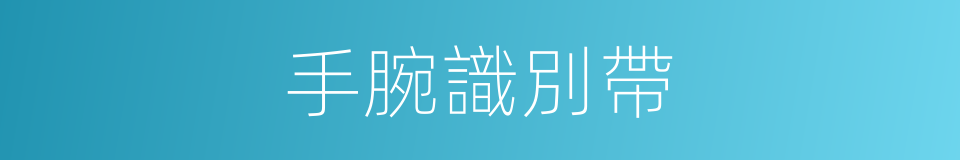 手腕識別帶的同義詞