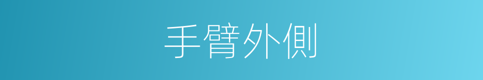 手臂外側的同義詞