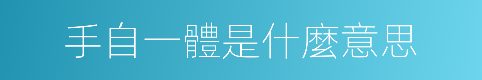 手自一體是什麼意思的同義詞