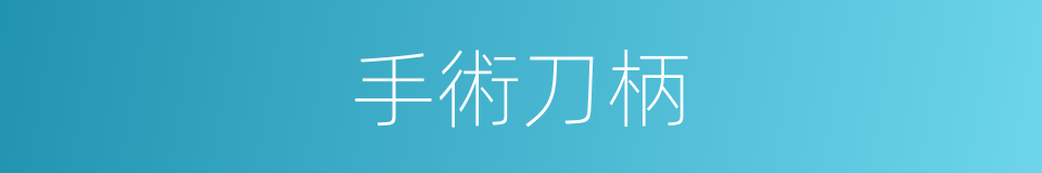 手術刀柄的同義詞