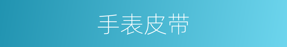 手表皮带的同义词