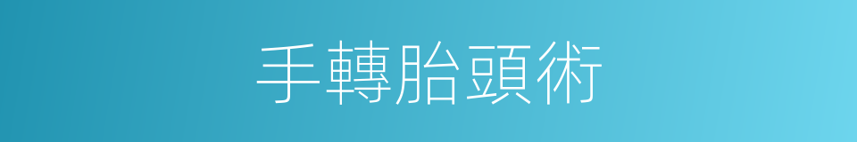 手轉胎頭術的同義詞