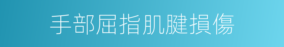 手部屈指肌腱損傷的同義詞
