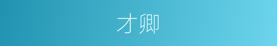 才卿的意思