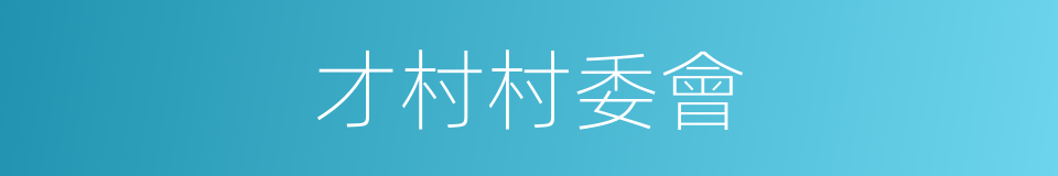 才村村委會的同義詞