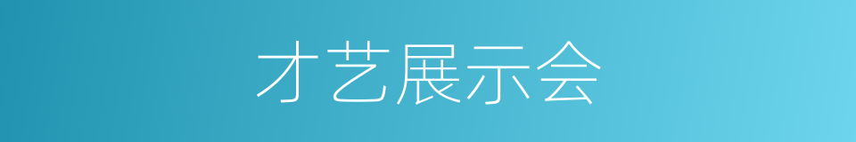 才艺展示会的同义词