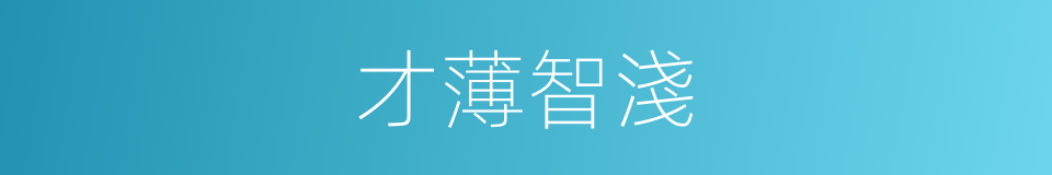 才薄智淺的意思