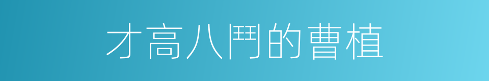 才高八鬥的曹植的同義詞