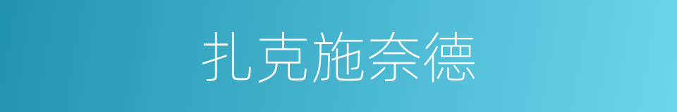 扎克施奈德的同义词