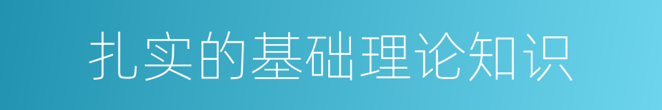 扎实的基础理论知识的同义词