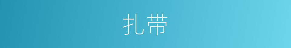 扎带的同义词