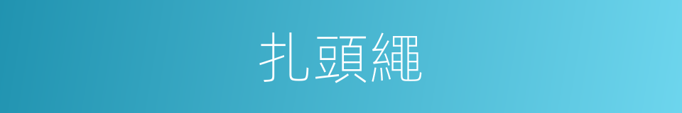扎頭繩的同義詞