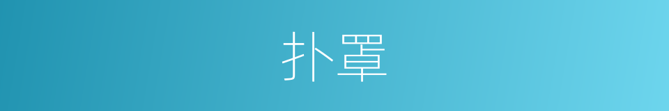 扑罩的同义词