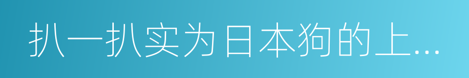 扒一扒实为日本狗的上海视帝一哥的同义词