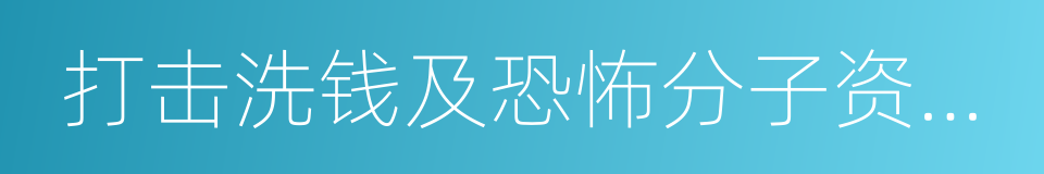 打击洗钱及恐怖分子资金筹集的指引的同义词