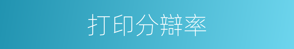 打印分辯率的同義詞