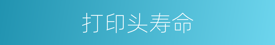 打印头寿命的同义词