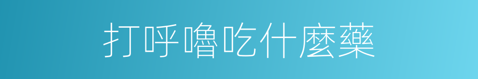 打呼嚕吃什麼藥的同義詞