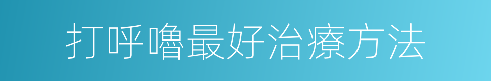 打呼嚕最好治療方法的同義詞