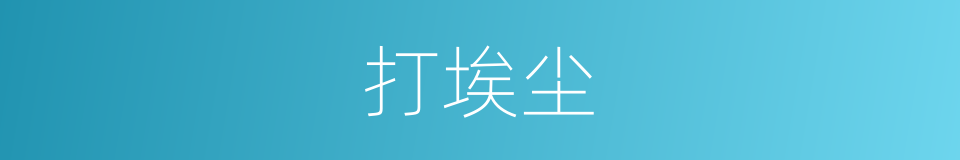 打埃尘的意思
