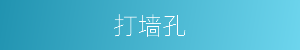 打墙孔的同义词