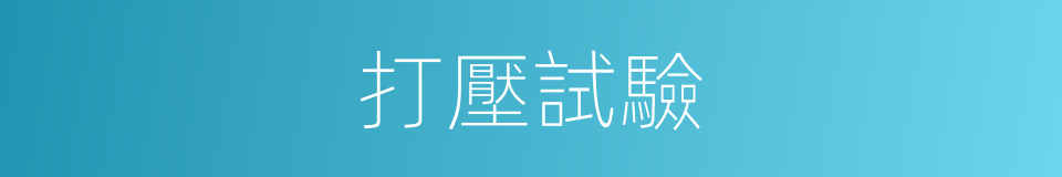打壓試驗的同義詞