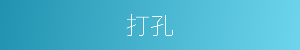 打孔的意思
