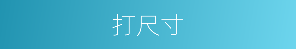 打尺寸的同义词