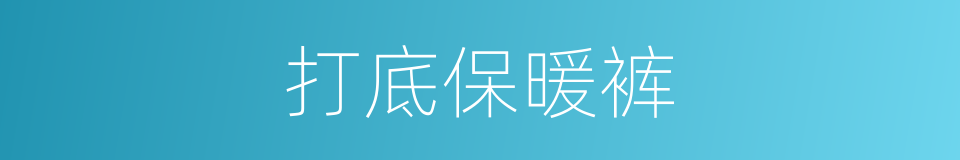 打底保暖裤的同义词