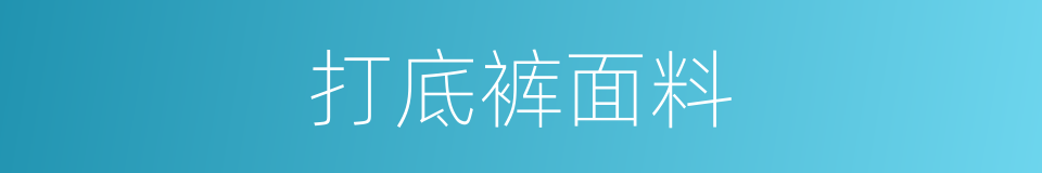 打底裤面料的同义词