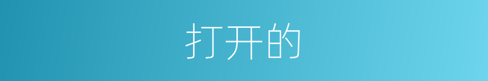 打开的的同义词