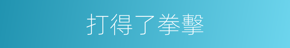 打得了拳擊的同義詞