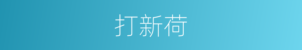 打新荷的同义词