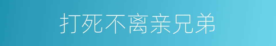 打死不离亲兄弟的同义词