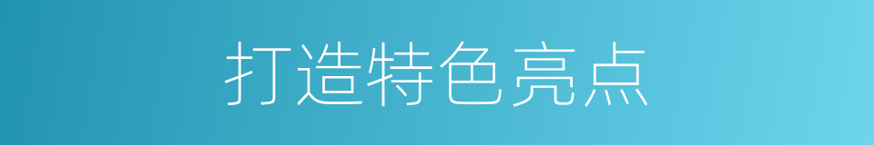 打造特色亮点的同义词