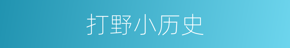 打野小历史的同义词