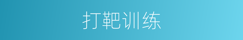 打靶训练的同义词
