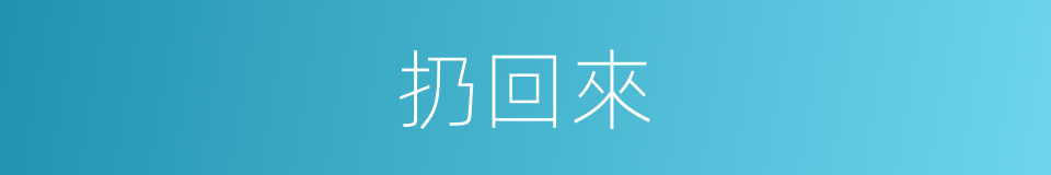 扔回來的同義詞